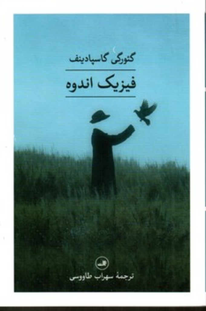 تصویر  فیزیک اندوه (رقعی-شمیز)